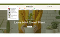 Bonsai - Tema adaptable de PrestaShop para plantas de interior y viveros - Miniatura 8