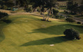 Golf Kulübü Sporları İniş Sayfası Şablonu - Thumbnail 3