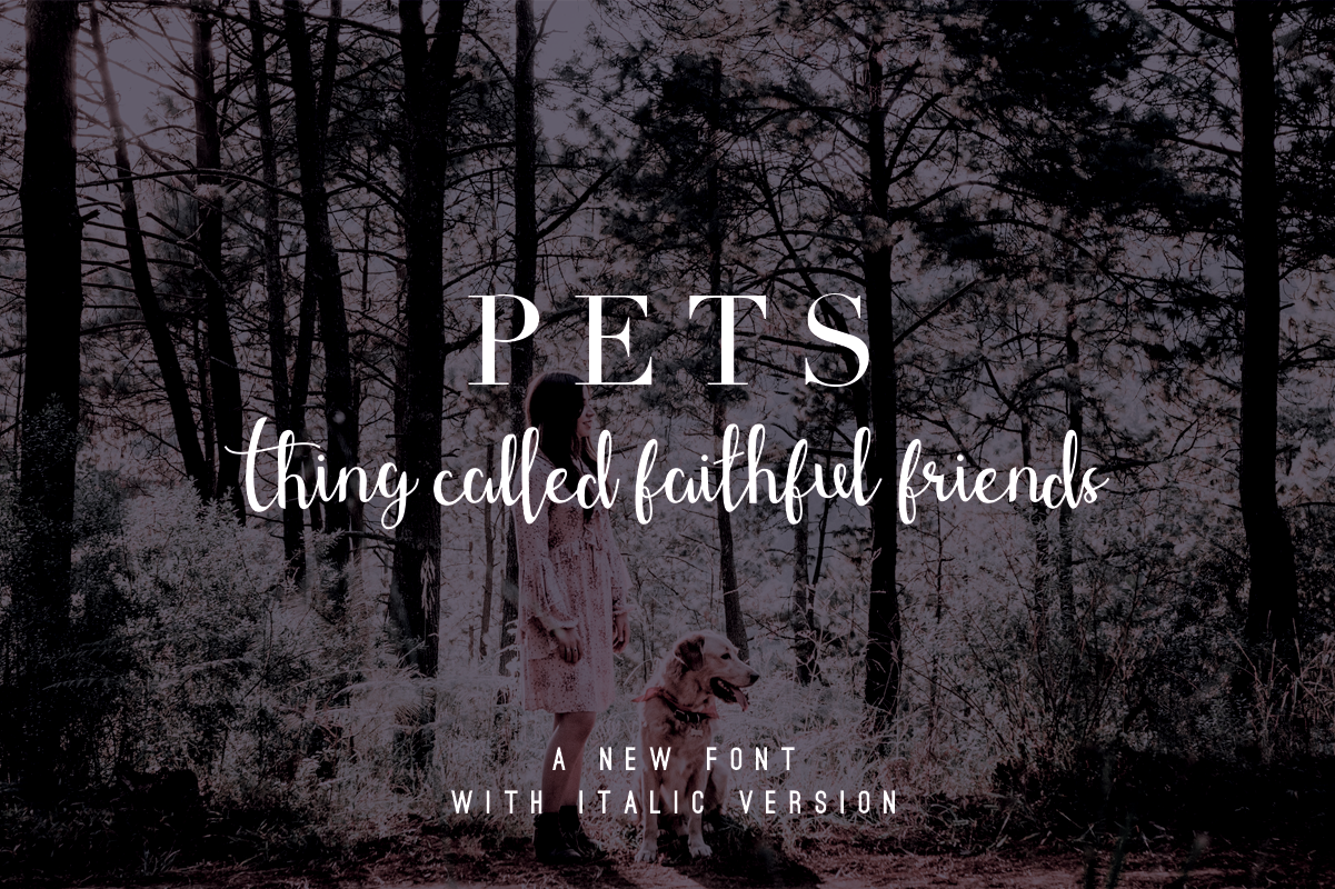 Download Шрифт "Shefilla - Cursive Font" / Shefilla - Cursive Font - Шрифт на тему графика font,script,fancy,wedding,brush,calligraphy,fonts,signature,handwritten,hand-lettered,handdrawn,handwriting,swashes,instagram,pretty,modern,feminine,elegant,luxury,casual