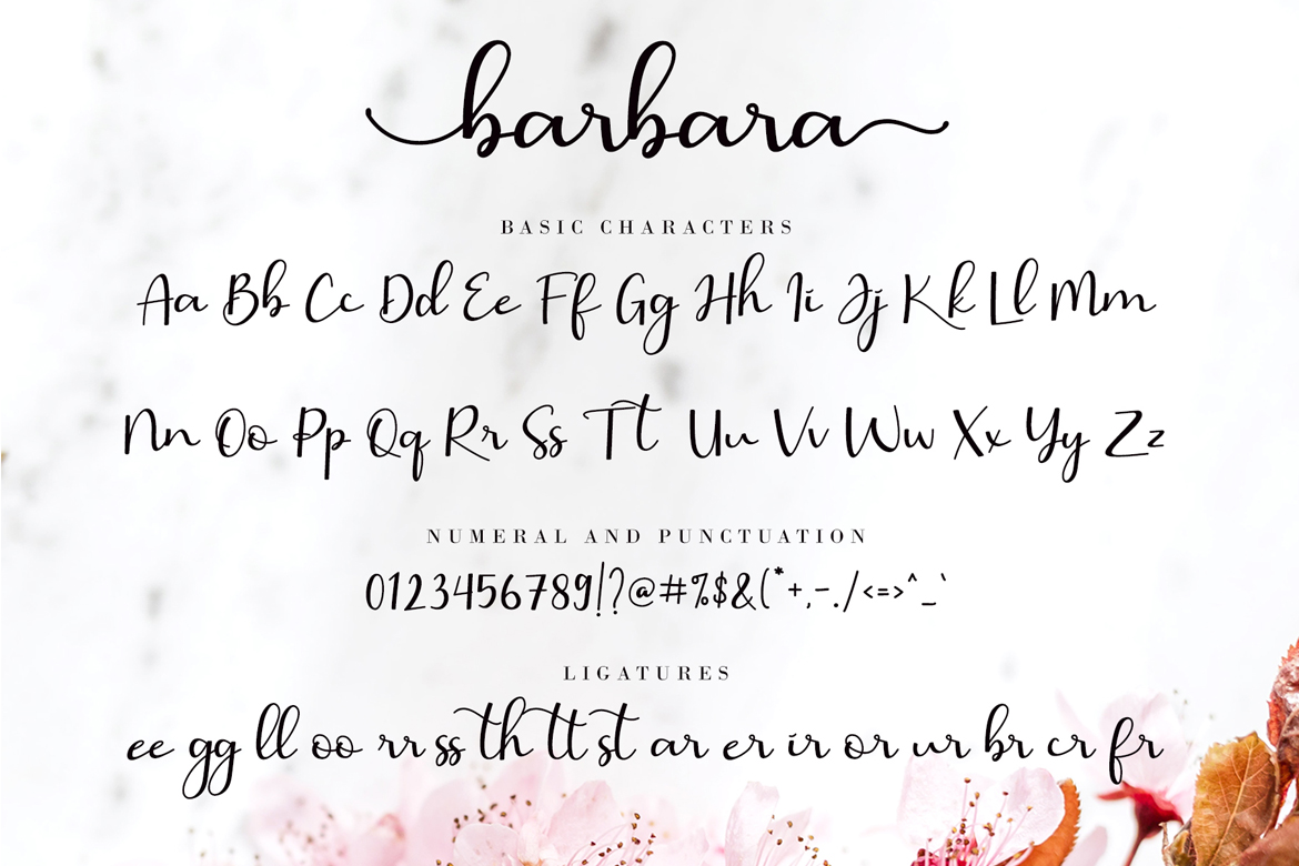 Download Шрифт "Barbara Calligraphy Font" / Barbara Calligraphy Font - Шрифт на тему графика script,handwritten,modern,calligraphy,clean,wedding,branding,heading,photography,fashion,font for logos,watermark,quotes,posters