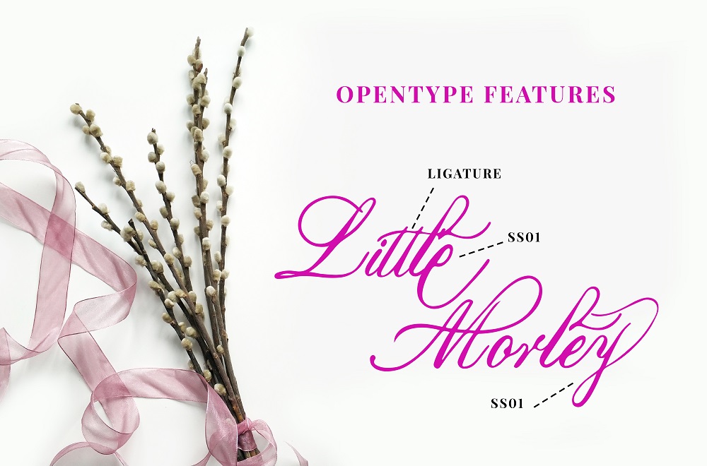 Download Шрифт "Marcelines A Modern Calligraphy Font" / Marcelines A Modern Calligraphy Font - Шрифт на тему графика beautiful font,branding font,calligraphy font,classy font,elegant font,fashion font,feminine font,handwriting font,handwritten font,lettering font,logo font,luxury font,minimalist font,modern