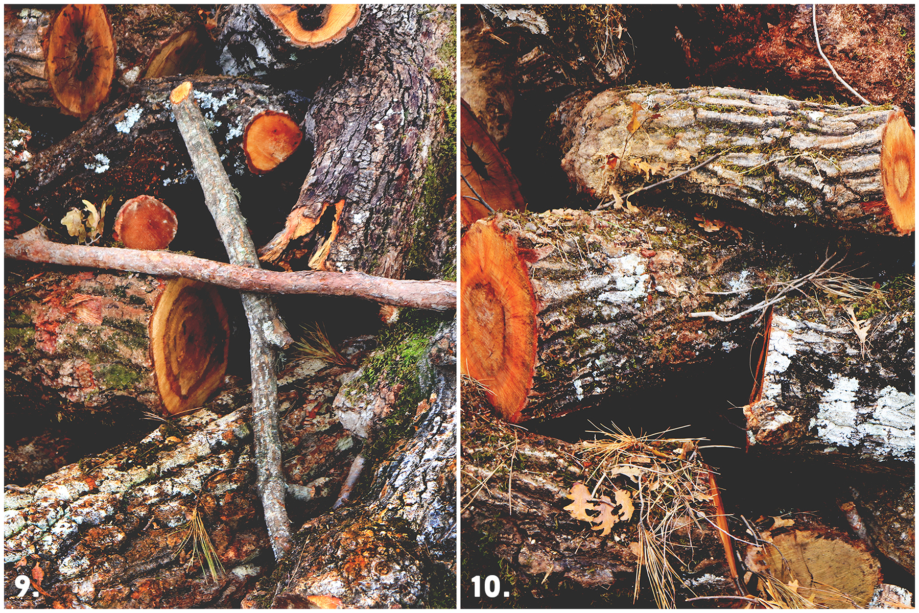 Download Background "10 Timber Background" / 10 Timber Background - Background на тему графика timber pattern,timber surface,timber texture,timber background,timber backdrop,background,texture,backdrop,lumber,surface,nature,timber,wood,pattern,textured,abstract,natural,board,butt,woode