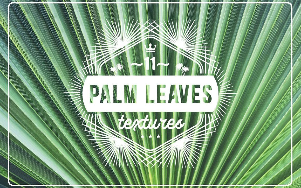 Download Background "11 Palm Leaves Textures Background" / 11 Palm Leaves Textures Background - Background на тему графика palm leaves texture,palm leaves pattern,palm leaves background,palm leaves backdrop,palm leaves surface,exotic,brunch,leaf,beauty,background,texture,paradise,palm,flora,banana,tropic,beautifu