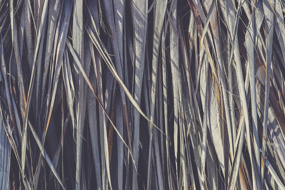 Download Background "11 Palm Leaves Textures Background" / 11 Palm Leaves Textures Background - Background на тему графика palm leaves texture,palm leaves pattern,palm leaves background,palm leaves backdrop,palm leaves surface,exotic,brunch,leaf,beauty,background,texture,paradise,palm,flora,banana,tropic,beautifu