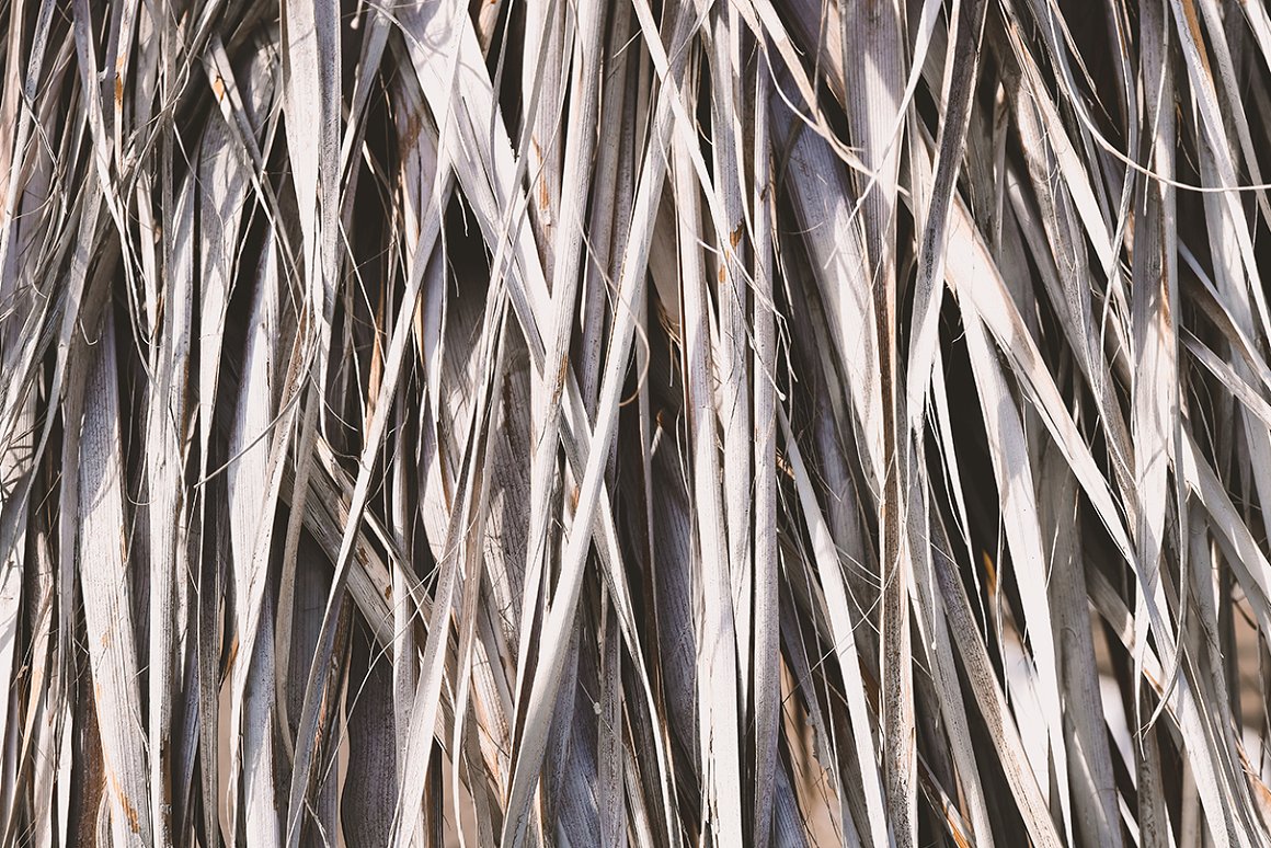 Download Background "11 Palm Leaves Textures Background" / 11 Palm Leaves Textures Background - Background на тему графика palm leaves texture,palm leaves pattern,palm leaves background,palm leaves backdrop,palm leaves surface,exotic,brunch,leaf,beauty,background,texture,paradise,palm,flora,banana,tropic,beautifu