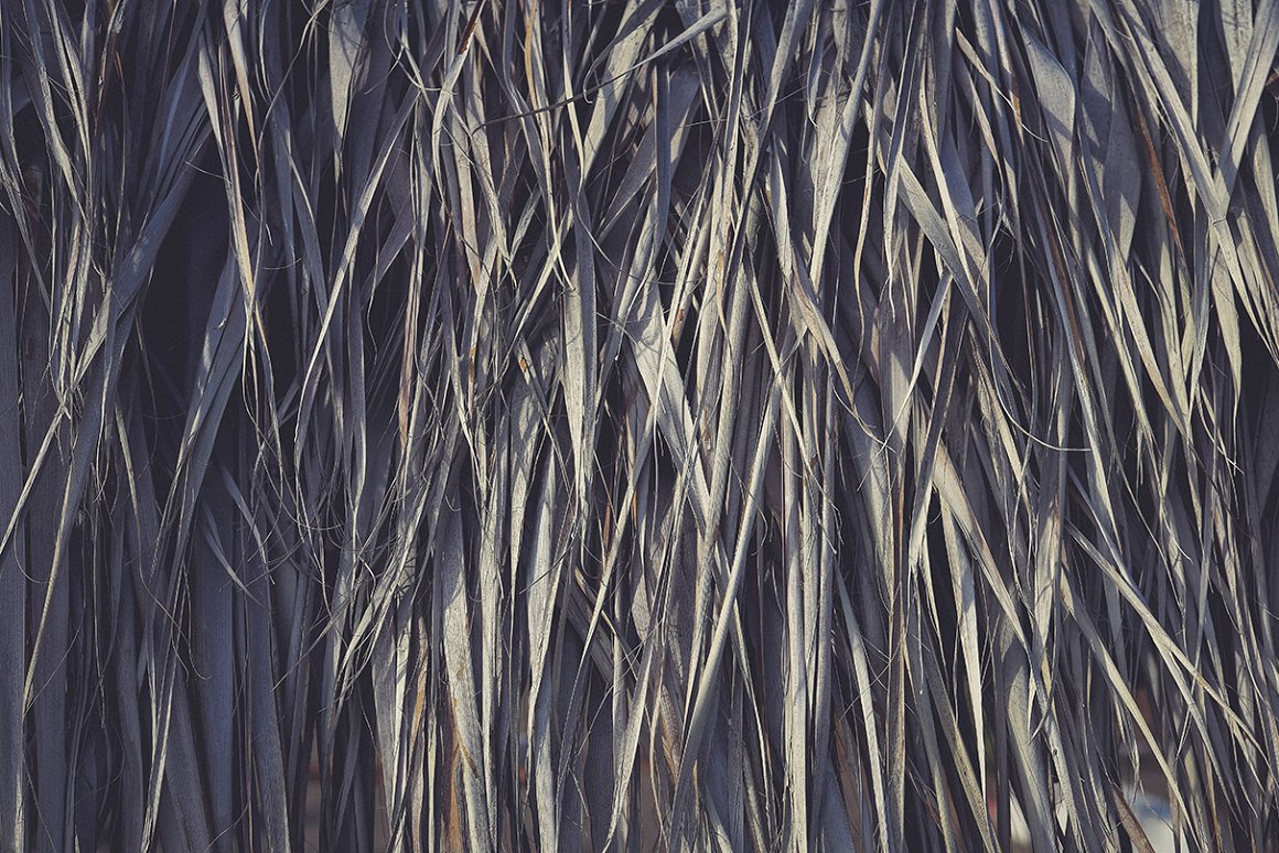 Download Background "11 Palm Leaves Textures Background" / 11 Palm Leaves Textures Background - Background на тему графика palm leaves texture,palm leaves pattern,palm leaves background,palm leaves backdrop,palm leaves surface,exotic,brunch,leaf,beauty,background,texture,paradise,palm,flora,banana,tropic,beautifu