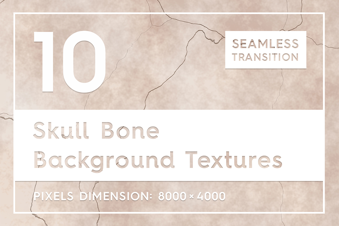 Download Background "10 Skull Bone Textures Background" / 10 Skull Bone Textures Background - Background на тему графика skull bone texture,skull bone pattern,skull bone background,skull bone backdrop,skull bone surface,seamless,tileable,texture,skull,background,abstract,pattern,nature,natural,anatomy,rough,ske