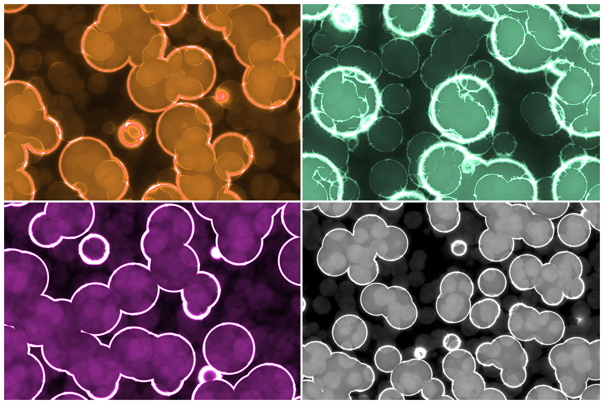 Download Background "20 Seamless Luminescent Glowing Cells Textures Background" / 20 Seamless Luminescent Glowing Cells Textures Background - Background на тему графика luminescent cells background,luminescent cells texture,luminescent cells pattern,luminescent cells surface,luminescent cells backdrop,cells,glowing,balls,circles,bubble,balloon,bladder,bliste