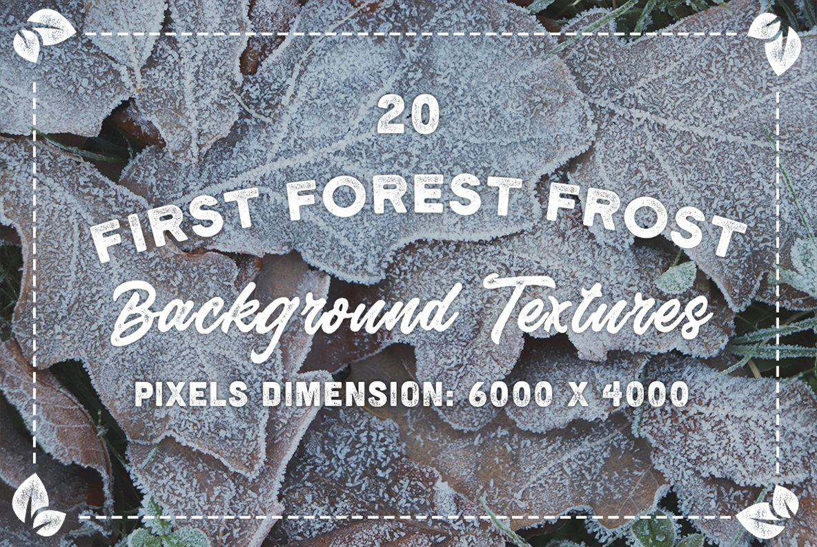 Download Background "20 Original First Forest Frost Textures Background" / 20 Original First Forest Frost Textures Background - Background на тему графика forest frost texture,forest frost pattern,forest frost background,forest frost backdrop,forest frost surface,frost,nature,natural,ice,plant,cold,weather,winter,season,green,frosty,grass,macro