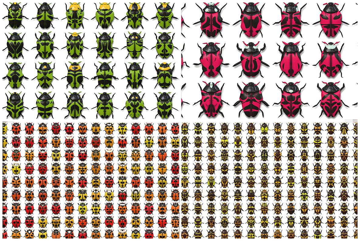 Download Background "10 Beetle Collection Textures Background" / 10 Beetle Collection Textures Background - Background на тему графика beetle texture,beetle pattern,beetle background,beetle backdrop,beetle surface,seamless,many,isolated,macro,insect,bug,beetle,nature,invertebrate,animal,wildlife,fauna,biology,collection,whit