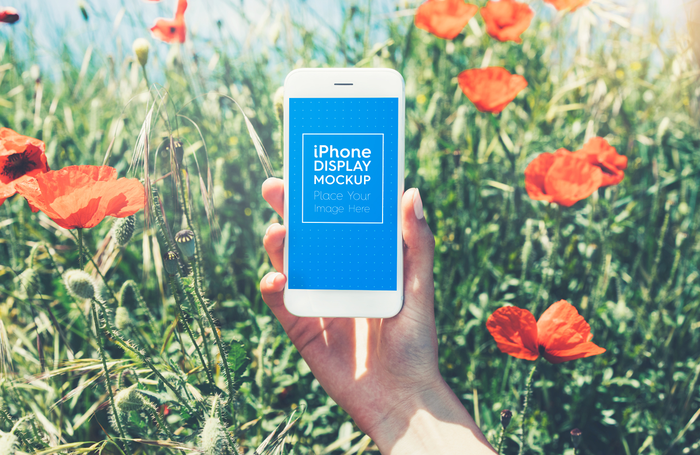 Download Мокап для продукта "iPhone / Phone / Smartphone Outdoor product mockup" / iPhone / Phone / Smartphone Outdoor product mockup - Мокап для продукта на тему графика app,app mockup,apple,application,beyond,display,field,grass,in hand,iphone,mobile,mockup,nature,outdoor,outside,outward,phone,poppy,screen,sea