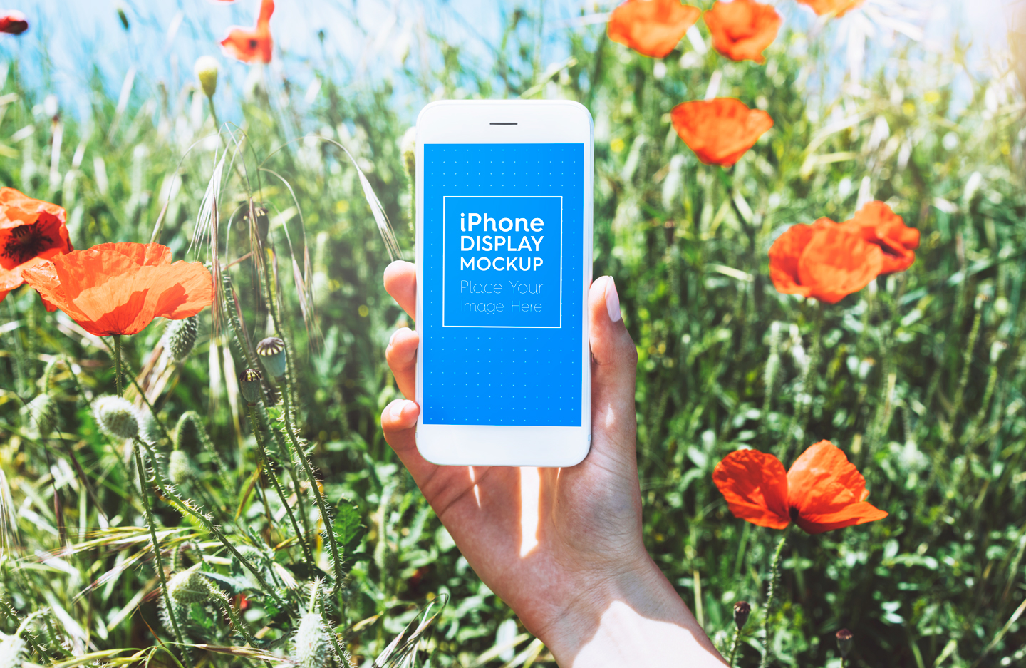 Download Мокап для продукта "iPhone / Phone / Smartphone Outdoor product mockup" / iPhone / Phone / Smartphone Outdoor product mockup - Мокап для продукта на тему графика app,app mockup,apple,application,beyond,display,field,grass,in hand,iphone,mobile,mockup,nature,outdoor,outside,outward,phone,poppy,screen,sea