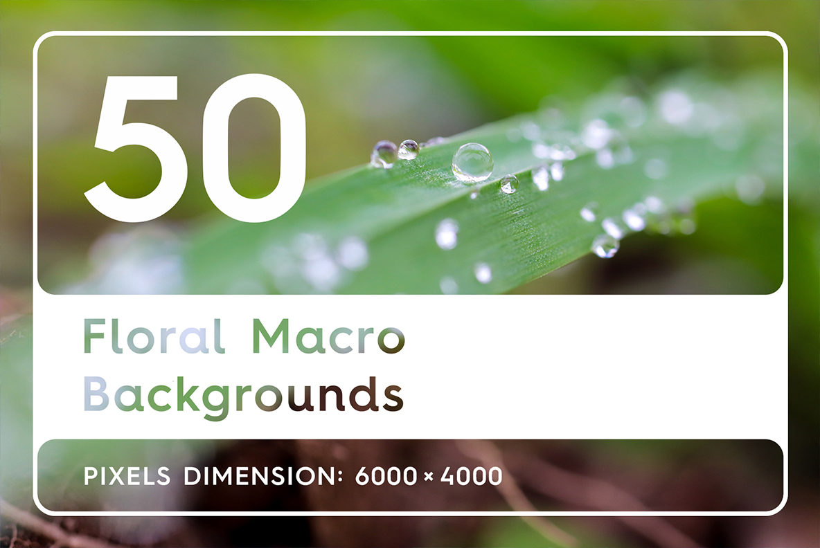 Download Background "50 Floral Macro Background" / 50 Floral Macro Background - Background на тему графика floral macro background,floral macro texture,floral macro surface,floral macro pattern,floral background,floral texture,floral surface,dew,drops,drop,green,leaf,summer,background,beautiful,fl