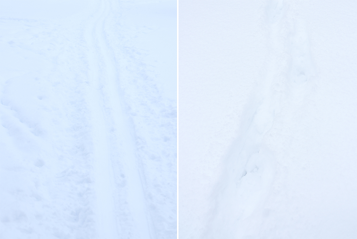 Download Background "81 Snow Surface Textures Background" / 81 Snow Surface Textures Background - Background на тему графика snow texture,snow pattern,snow surface,snow background,snow backdrop,cold,white,winter,snowy,abstract,weather,snowbound,frost,hill,snow,covered,texture,season,closeup,surface clean