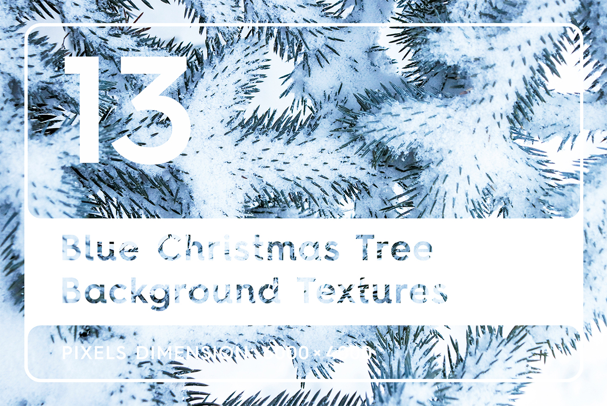 Download Background "13 Blue Christmas Tree Textures Background" / 13 Blue Christmas Tree Textures Background - Background на тему графика blue tree texture,blue tree backgrounds,blue tree pattern,blue tree surface,christmas,park,macro,tree,natural,forest,fir,nature,background,brunch,wood,beauty,evergreen,green,year,white