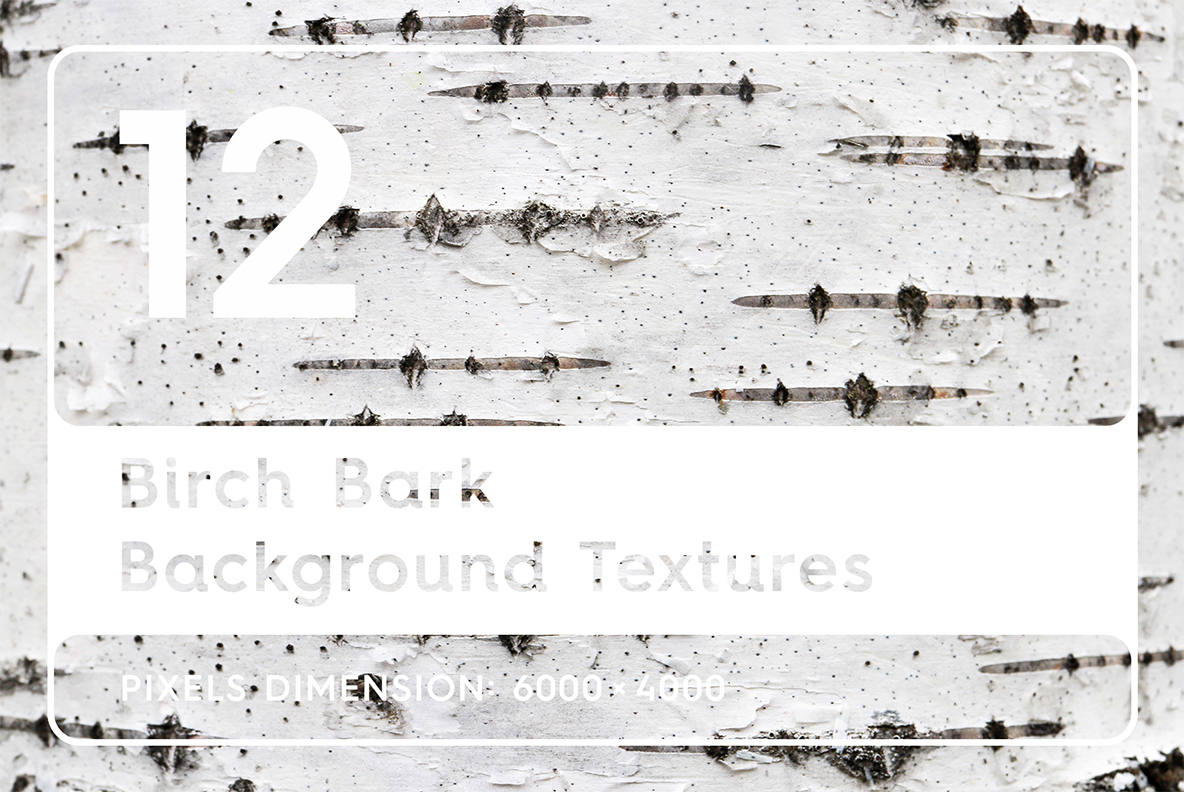 Download Background "12 Birch Bark Textures Background" / 12 Birch Bark Textures Background - Background на тему графика birch bark pattern,birch bark surface,birch pattern,birch surface,nature,birch,natural,organic,texture,tree,closeup,wooden,material,surface,background,lines,line,white,macro,beresta