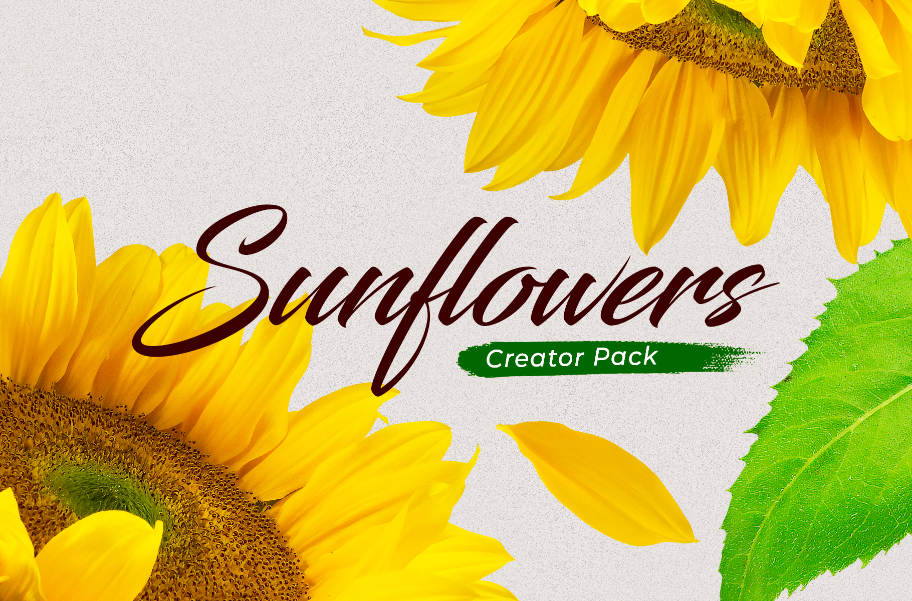 https://s3u.tmimgcdn.com/1420880-1583601006750_Cover-Sunflowers.jpg