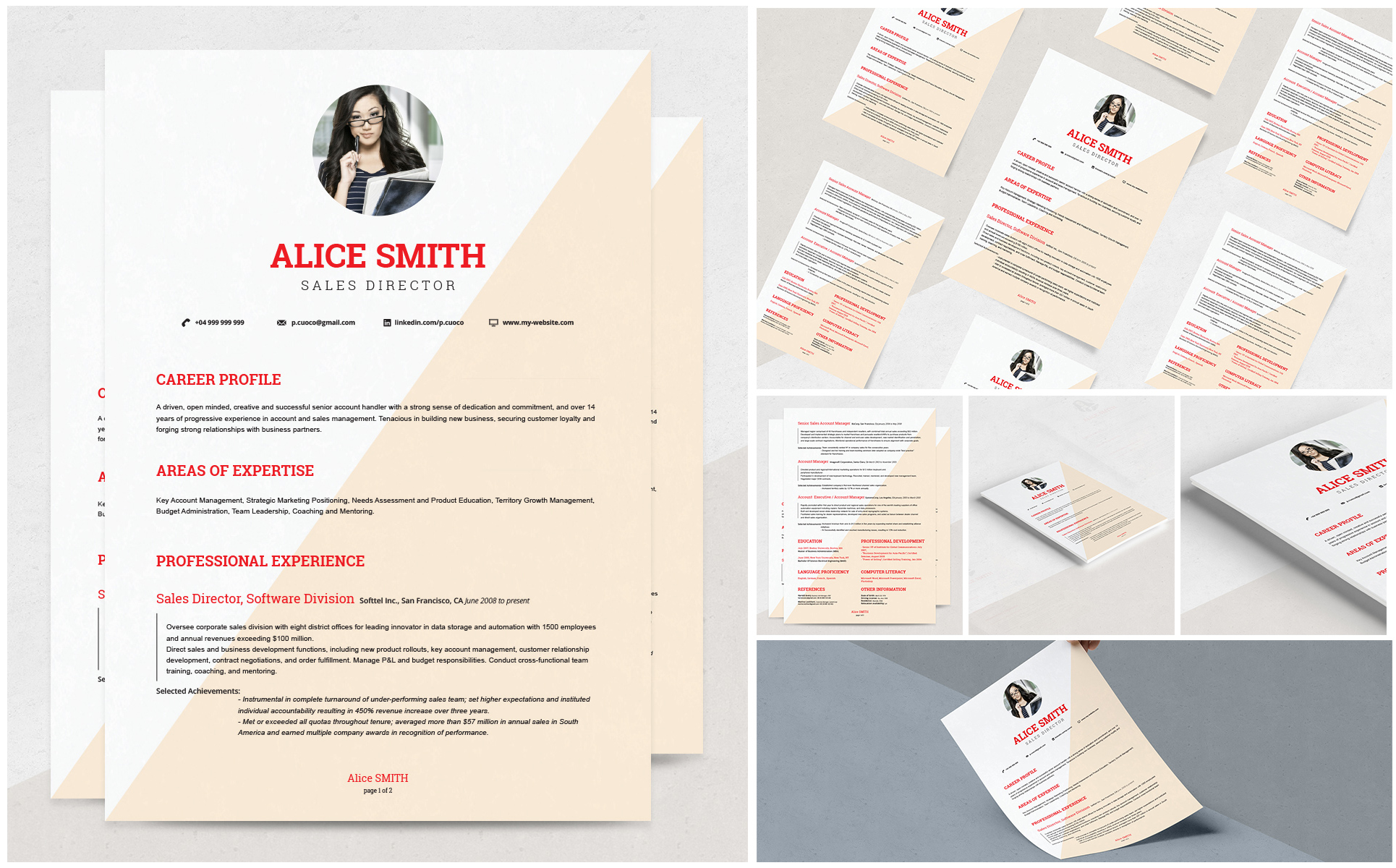Alice Resume Theme Small Screenshot Alice Resume Template