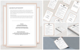 Antares Resume Template Small Screenshot Antares Resume Template