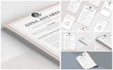 Antares Resume Template Small Screenshot Antares Resume Template