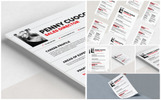 Auriage Resume Template Small Screenshot Auriage Resume Template