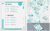 Berenices Resume Theme Small Screenshot Berenices Resume Template