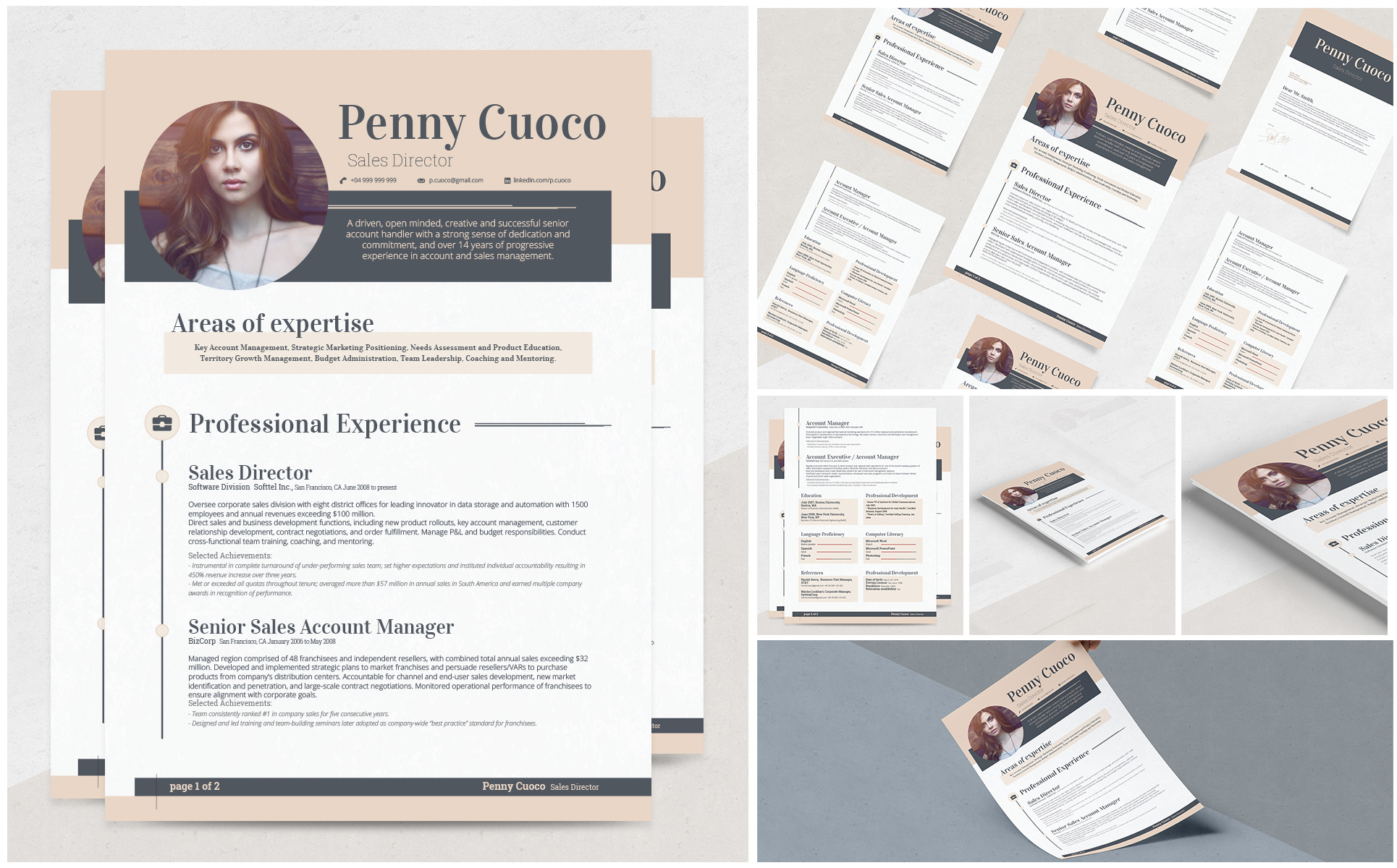 Carminia Resume Theme Small Screenshot Carminia Resume Template