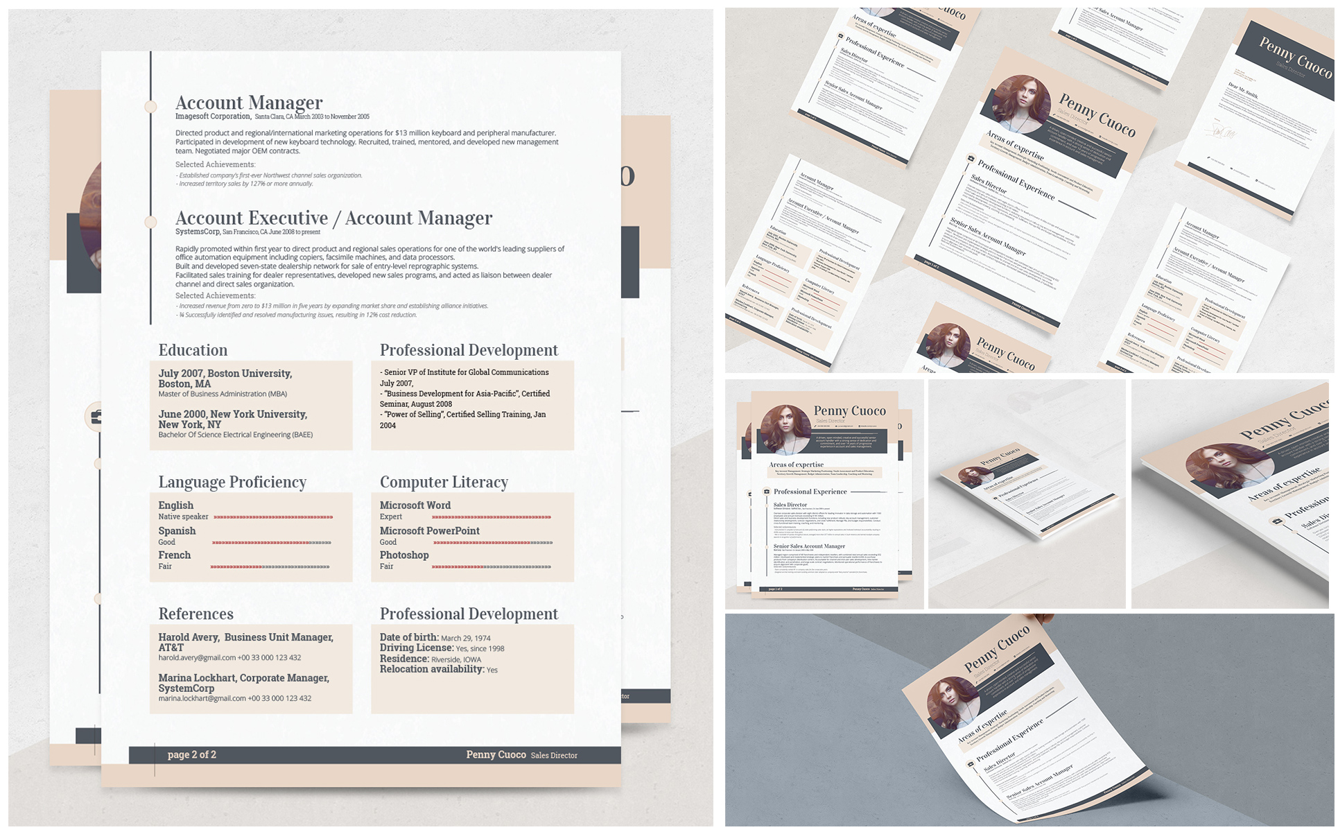 Carminia Resume Theme Small Screenshot Carminia Resume Template