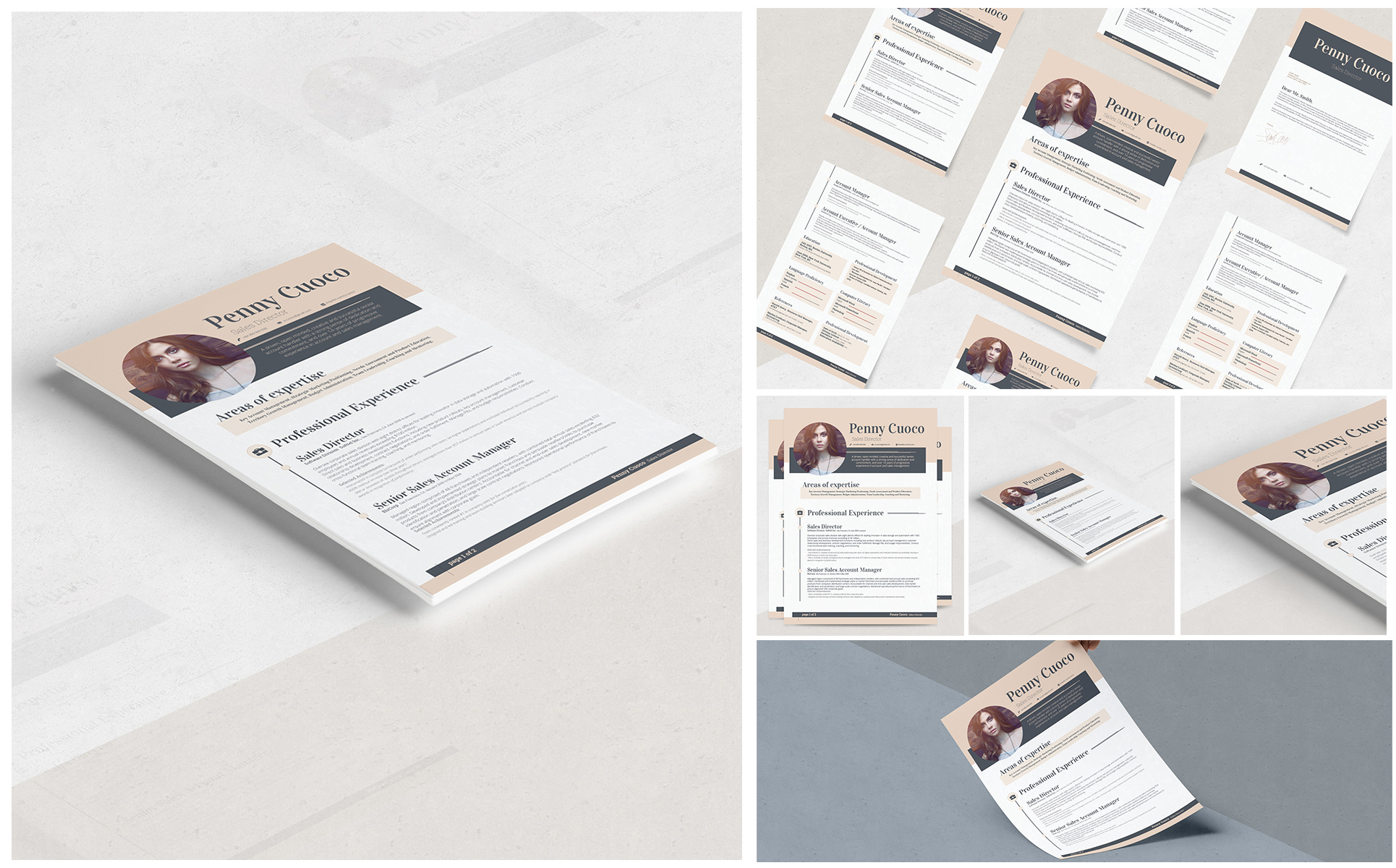 Carminia Resume Theme Small Screenshot Carminia Resume Template