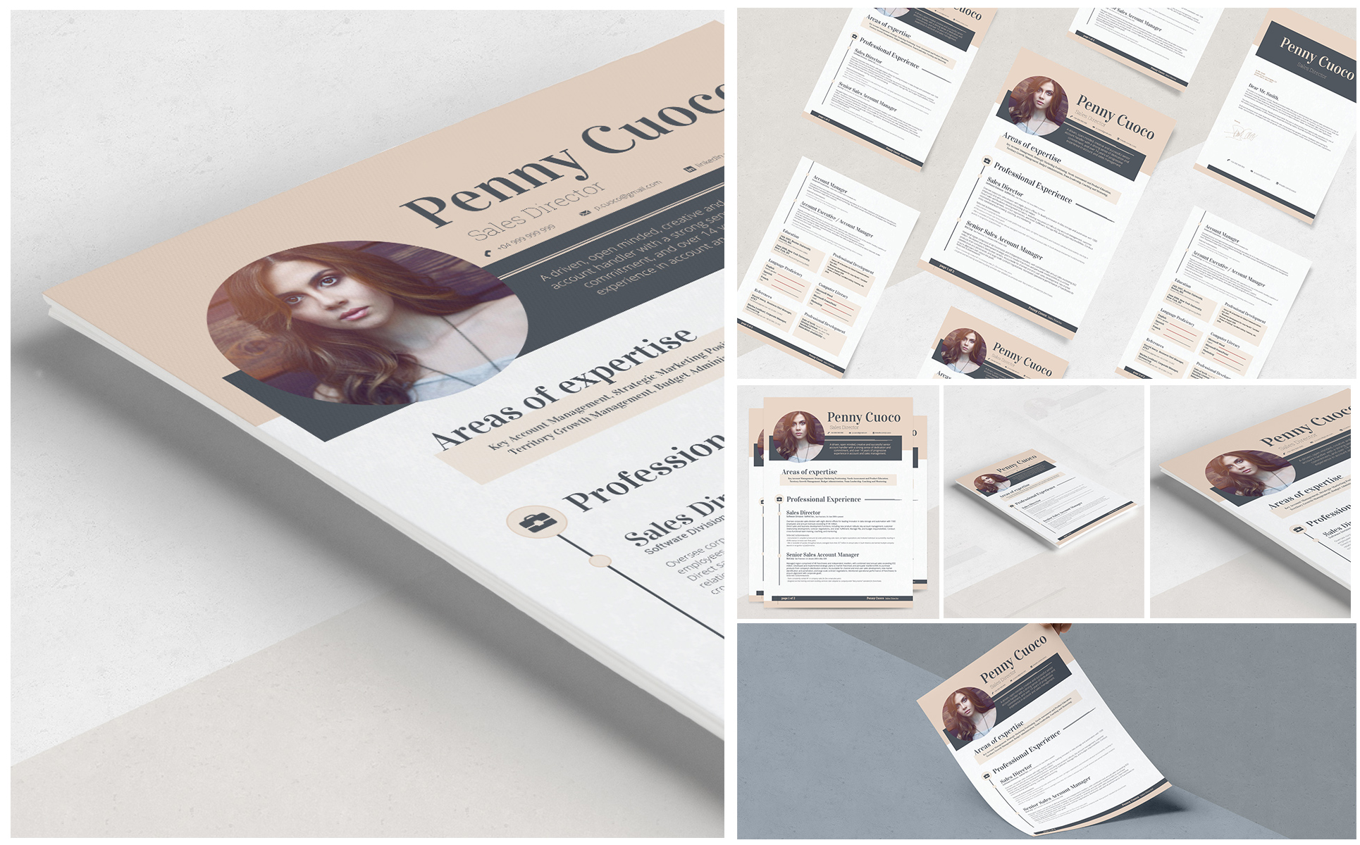 Carminia Resume Theme Small Screenshot Carminia Resume Template