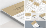 Diakodah Resume Theme Small Screenshot Diakodah Resume Template