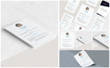 Gemini Resume Template Small Screenshot Gemini Resume Template
