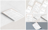 Irisa Resume Theme Small Screenshot Irisa Resume Template
