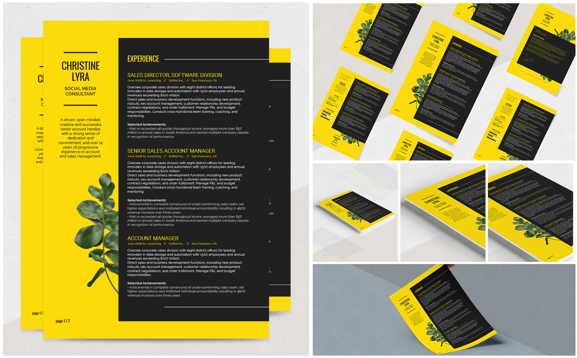Lyra Resume Template Small Screenshot Lyra Resume Template