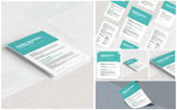 Miakoda Resume Template Small Screenshot Miakoda Resume Template