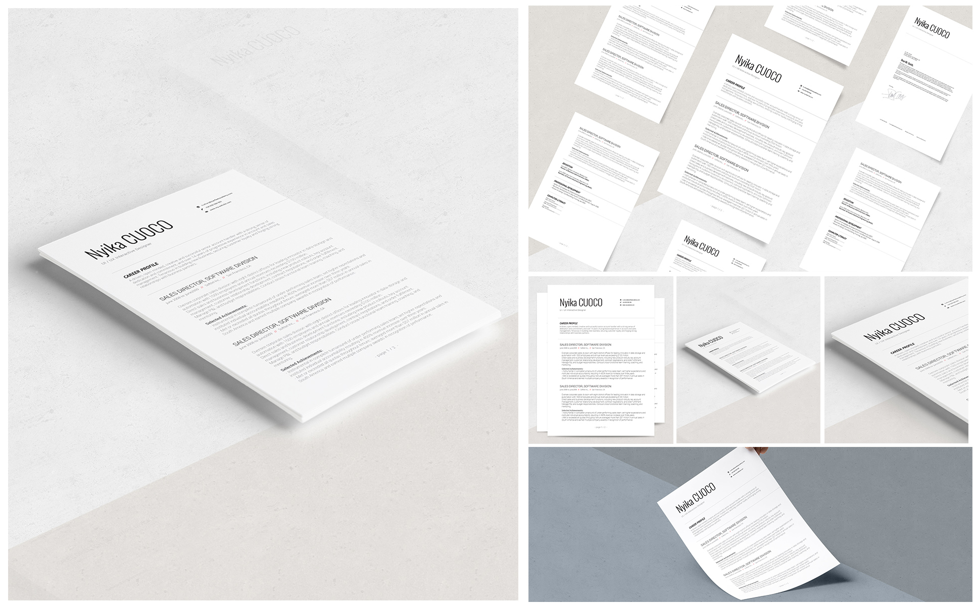 Nyika Resume Template Small Screenshot Nyika Resume Template