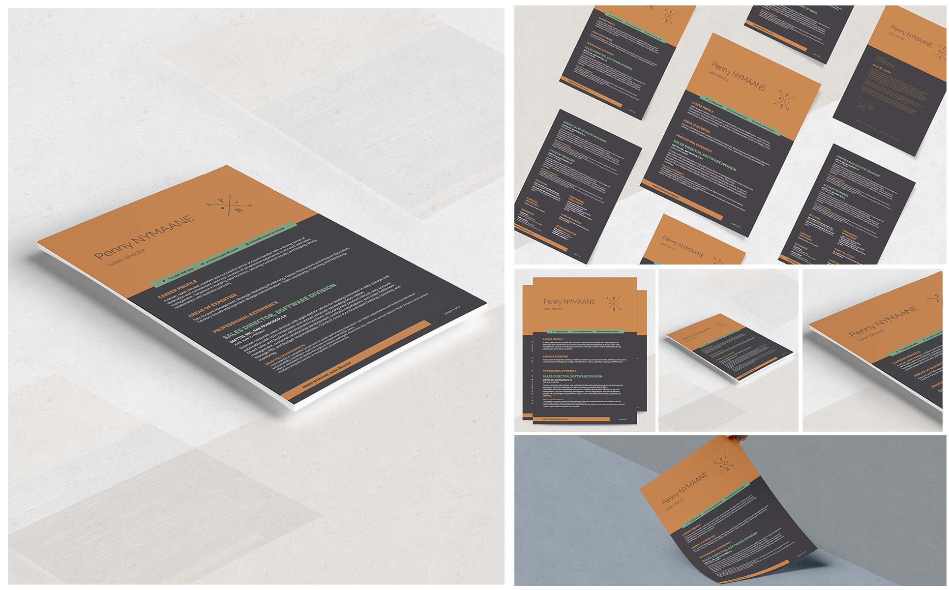 Nymaane Resume Template Small Screenshot Nymaane Resume Template