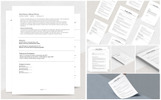 Seren Resume Template Small Screenshot Seren Resume Template