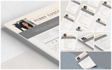 Sirius Resume Theme Small Screenshot Sirius Resume Template