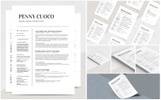 Volantis A Resume Template Small Screenshot Volantis A Resume Template