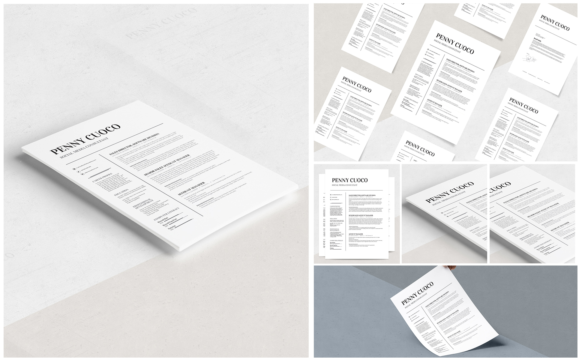 Volantis A Resume Template Small Screenshot Volantis A Resume Template