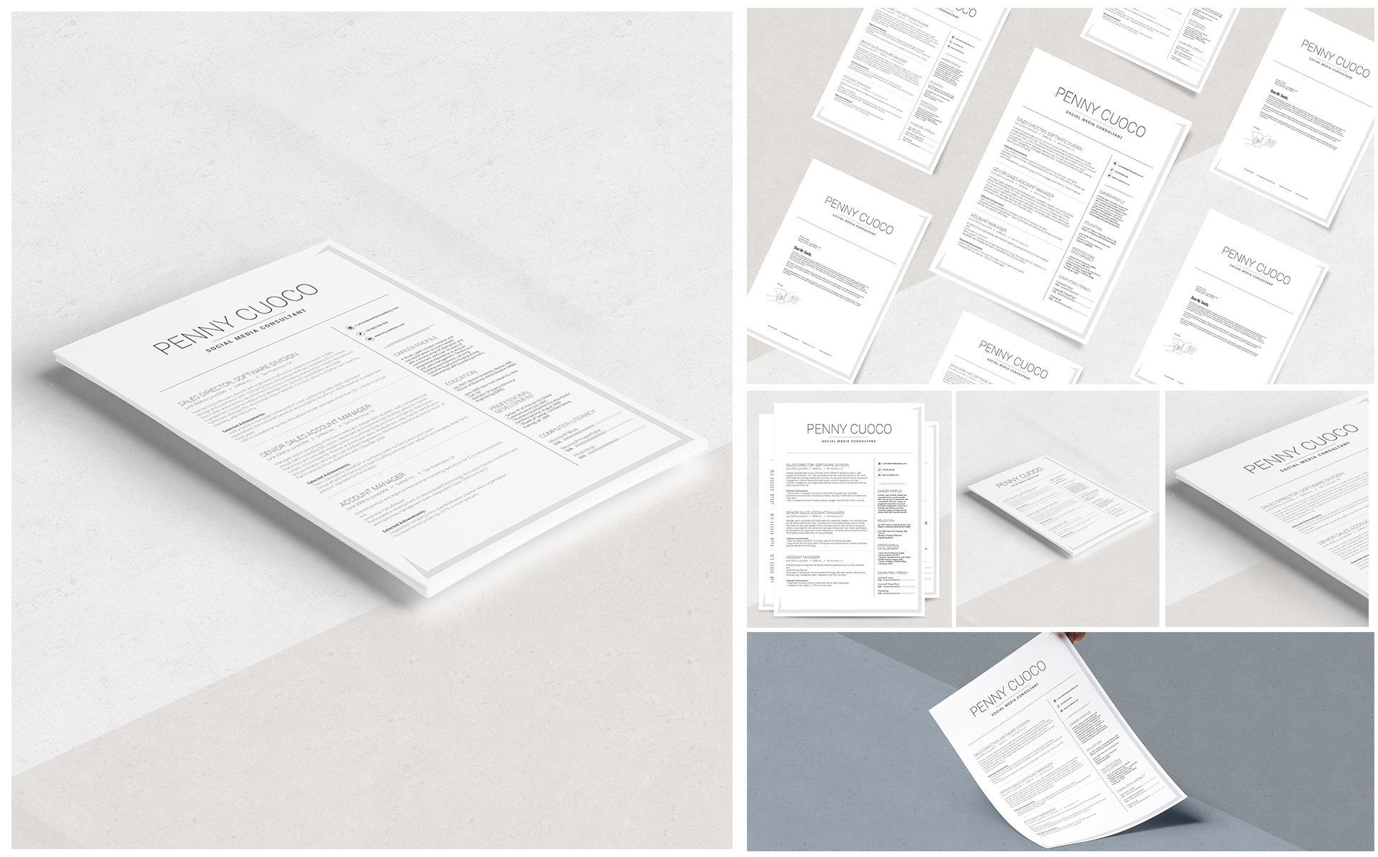 Volantis B Resume Theme Small Screenshot Volantis B Resume Template