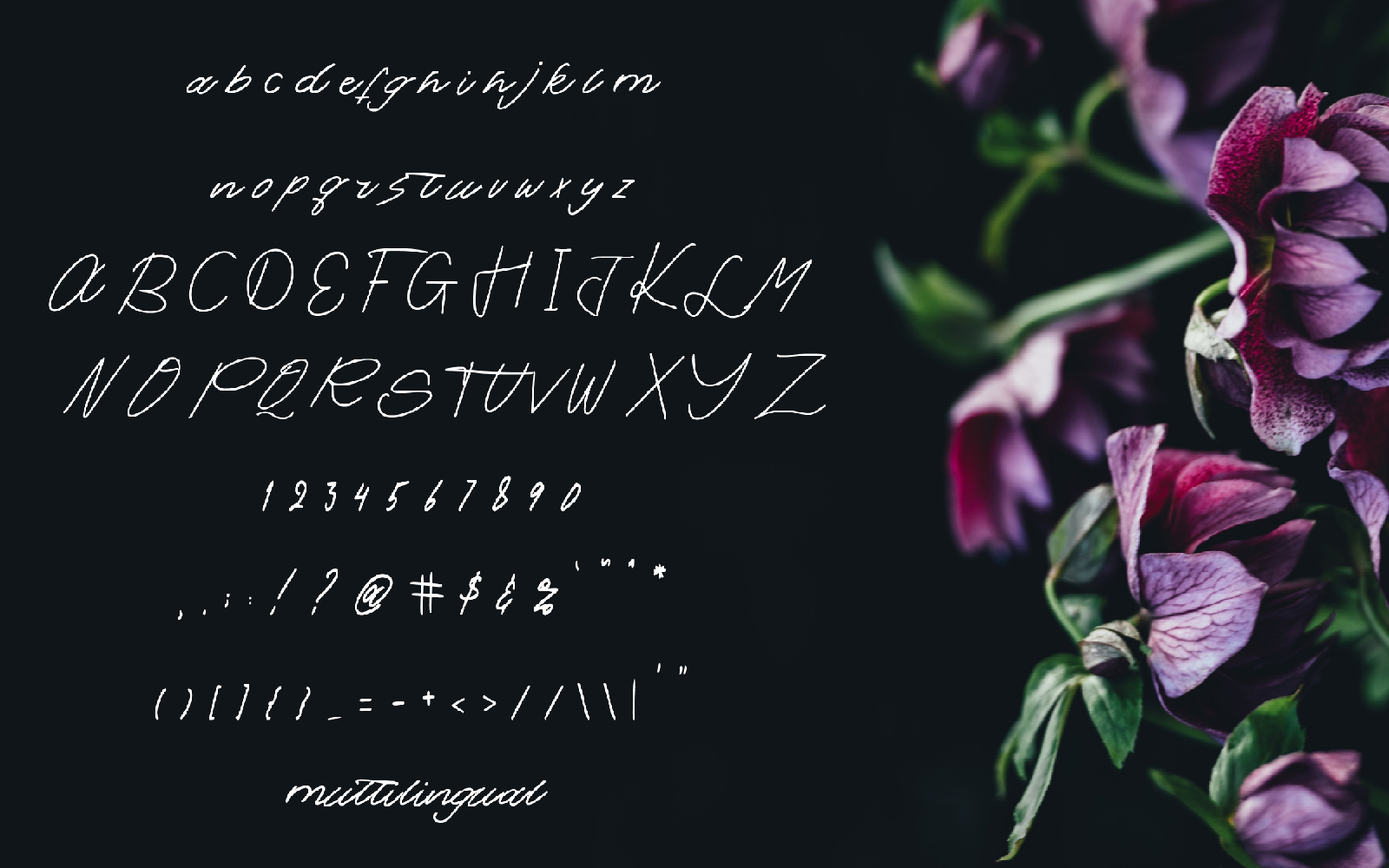 Download Шрифт "Salting Font" / Salting Font - Шрифт на тему графика branding,brush,font,handwriting,monoline,summer,webfont,website,wedding,winter,writing,beauty,blog,business,calligraphy,card,cover,cursive,exclusive,fashionable