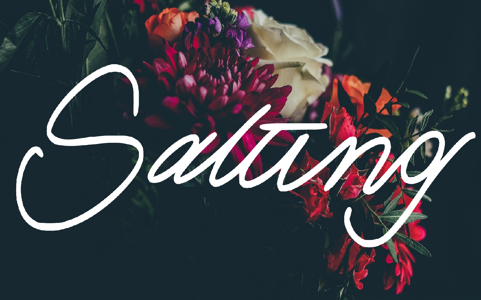 Download Шрифт "Salting Font" / Salting Font - Шрифт на тему графика branding,brush,font,handwriting,monoline,summer,webfont,website,wedding,winter,writing,beauty,blog,business,calligraphy,card,cover,cursive,exclusive,fashionable