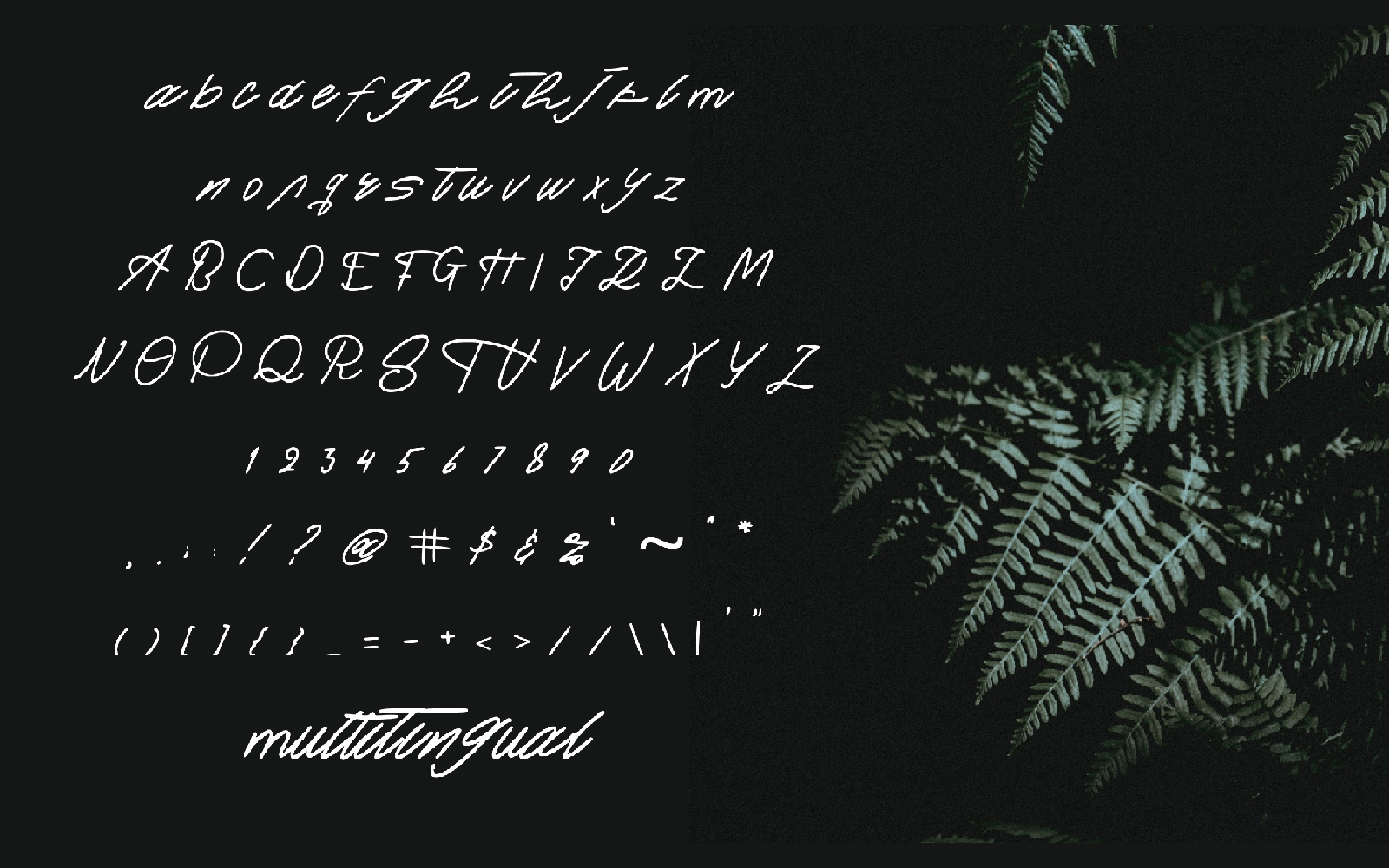 Download Шрифт "Soulmate Font" / Soulmate Font - Шрифт на тему графика branding,brush,font,handwriting,monoline,summer,webfont,website,wedding,winter,writing,beauty,blog,business,calligraphy,card,cover,cursive,exclusive,fashionable