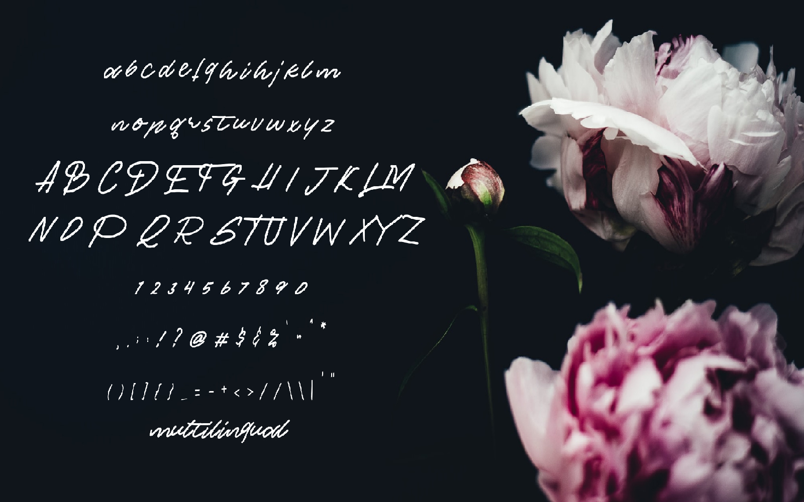 Download Шрифт "Lightning Font" / Lightning Font - Шрифт на тему графика branding,brush,font,handwriting,monoline,summer,webfont,website,wedding,winter,writing,beauty,blog,business,calligraphy,card,cover,cursive,exclusive,fashionable