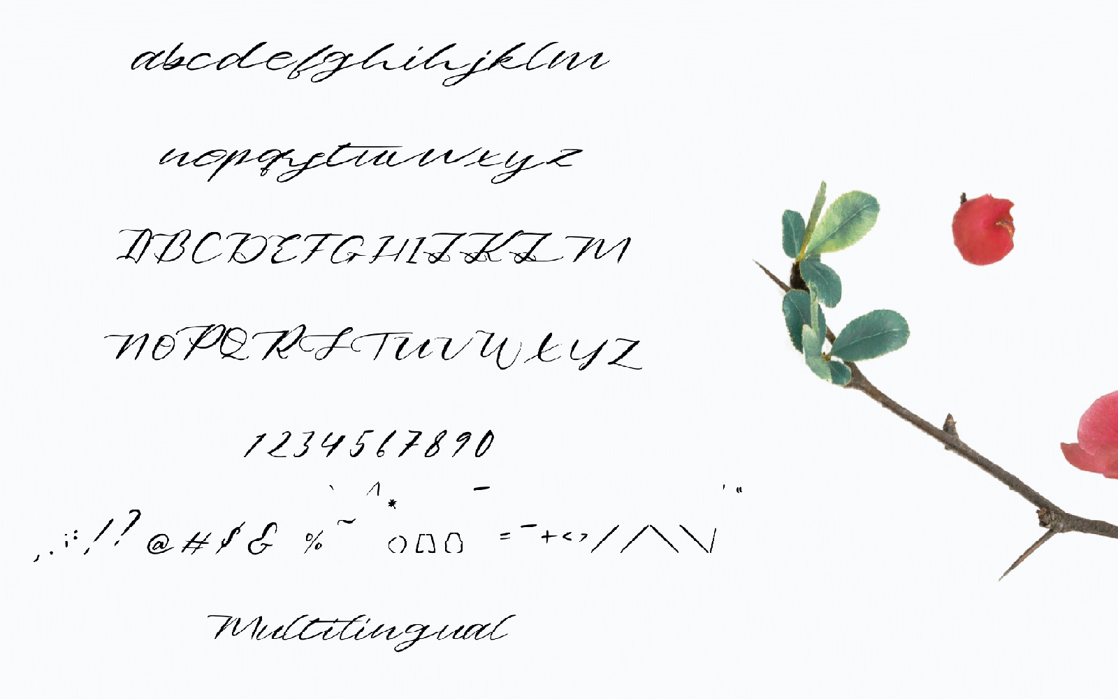 Download Шрифт "Bomboloni Font" / Bomboloni Font - Шрифт на тему графика beauty,blog,branding,business,calligraphy,card,cover,cursive,exclusive,fashionable,font,fonts,hand drawn,handwriting,handwritten,headline,instagram,invitation,magazine,popular