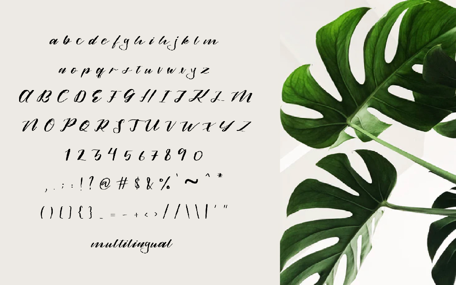 Download Шрифт "Alamanda Font" / Alamanda Font - Шрифт на тему графика beauty,blog,branding,business,calligraphy,card,cover,cursive,exclusive,fashionable,font,fonts,hand drawn,handwriting,handwritten,headline,instagram,invitation,magazine,popular