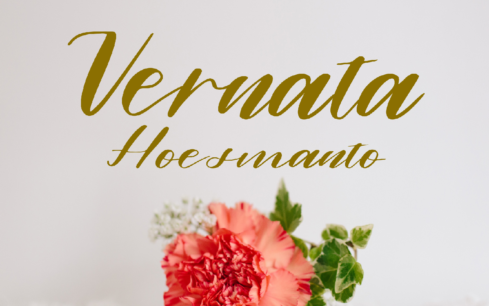 Download Шрифт "Alamanda Font" / Alamanda Font - Шрифт на тему графика beauty,blog,branding,business,calligraphy,card,cover,cursive,exclusive,fashionable,font,fonts,hand drawn,handwriting,handwritten,headline,instagram,invitation,magazine,popular