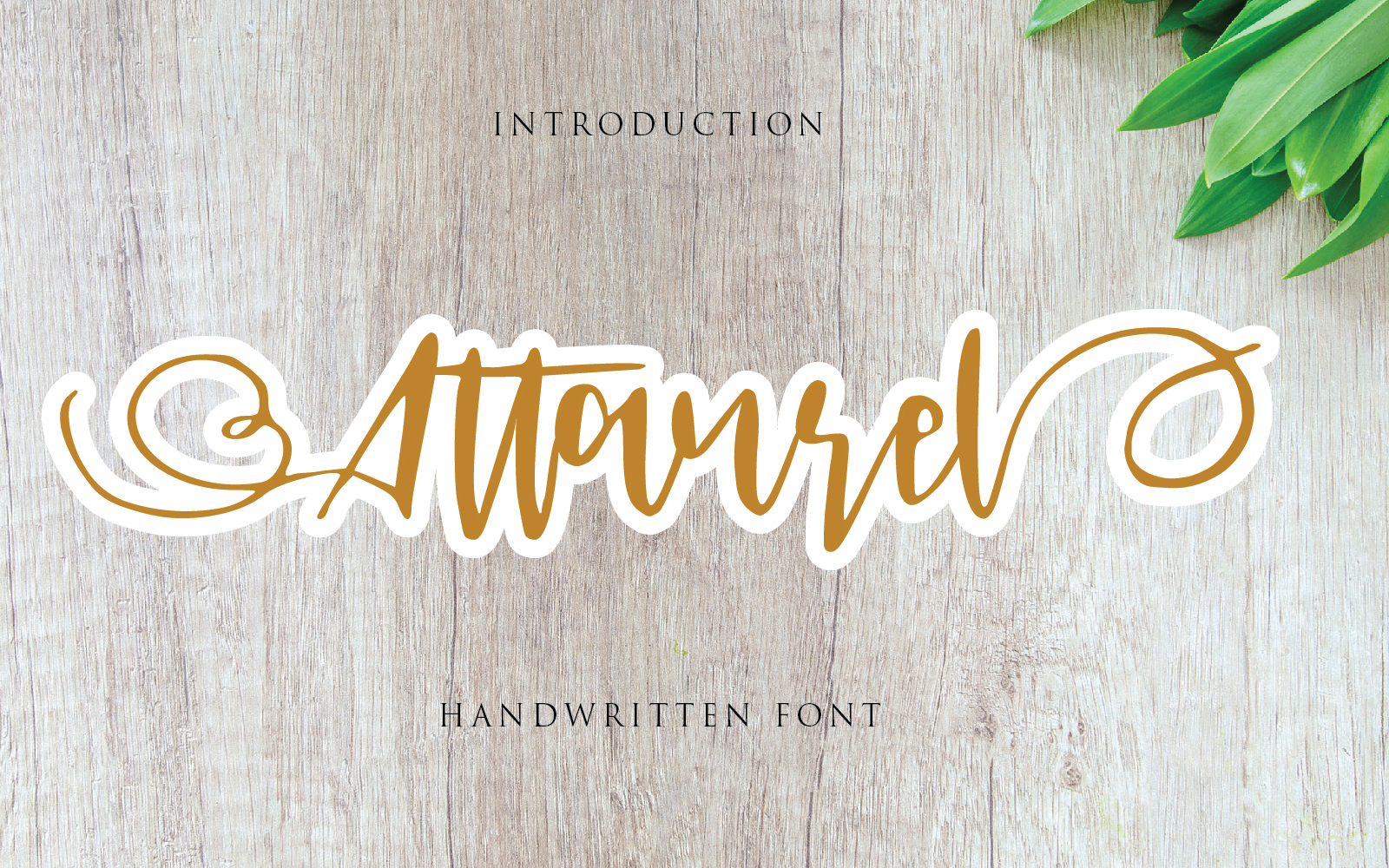 Download Шрифт "Johnson Camelia Font" / Johnson Camelia Font - Шрифт на тему графика beauty,beauty script font,female,feminine,font for beauty,font for invitation,font for logo,font for signature,font for wedding,font for woman,handwriting,handwritten font,handwritten script,